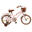 Bicicleta Infantil 16" Vintage Rosa