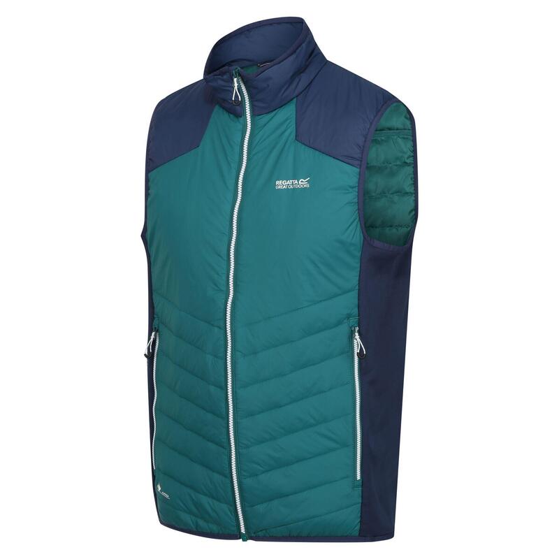 Halton VI wandelbodywarmer voor heren