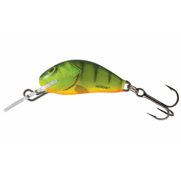SALMO picture