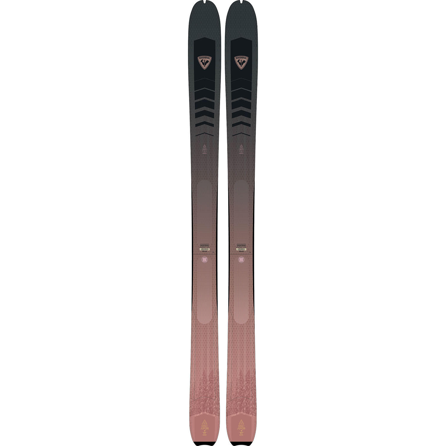 ROSSIGNOL picture