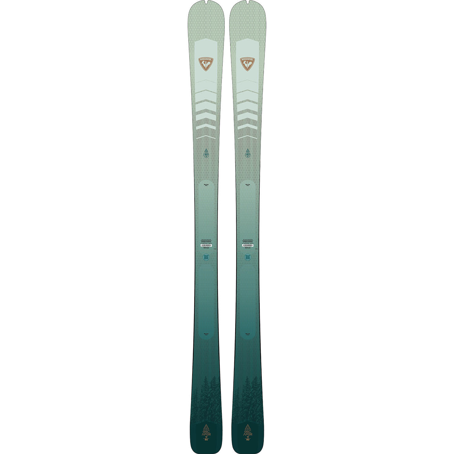 ROSSIGNOL picture