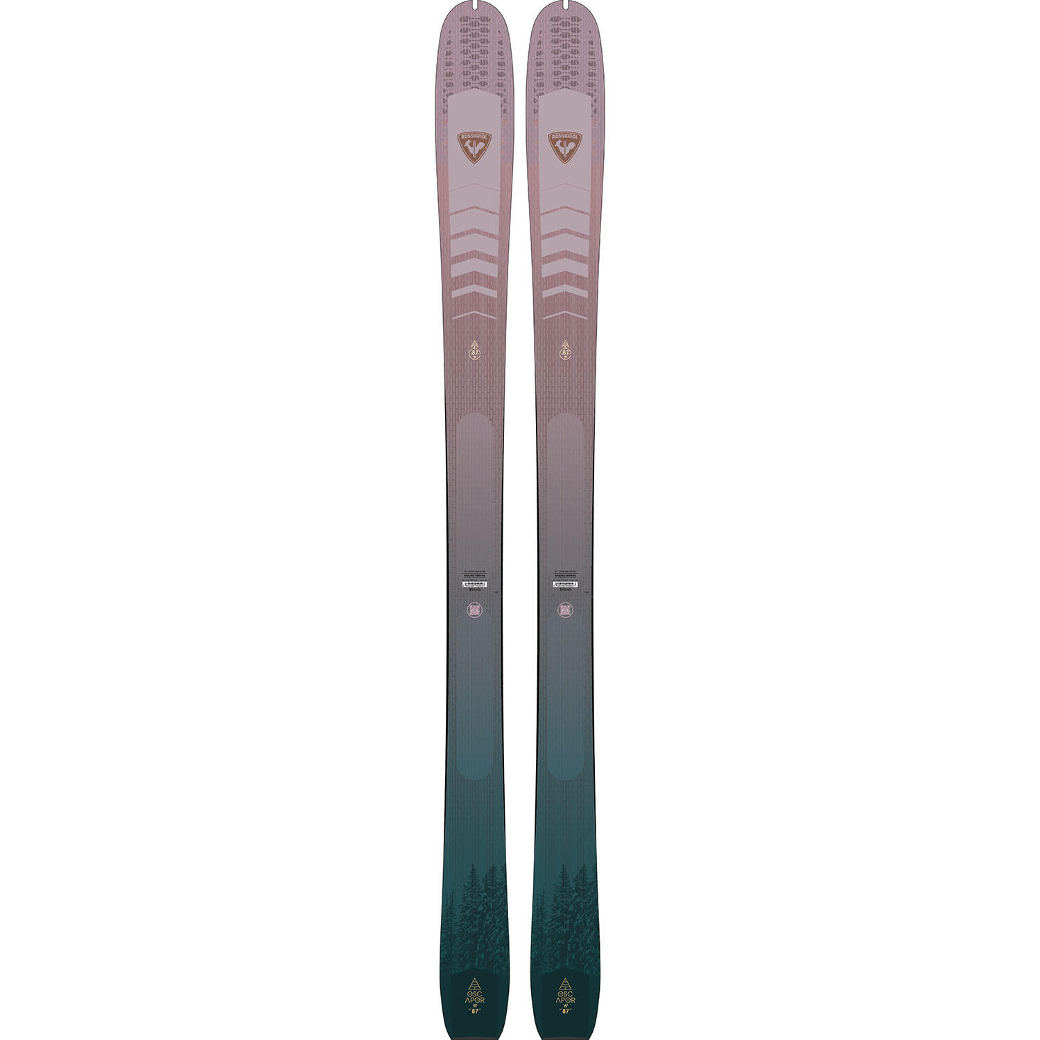 ROSSIGNOL picture