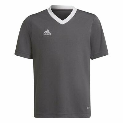 Adidas Entrada22 Kindertrikot für Jungen und Mädchen - Team Grau Vier