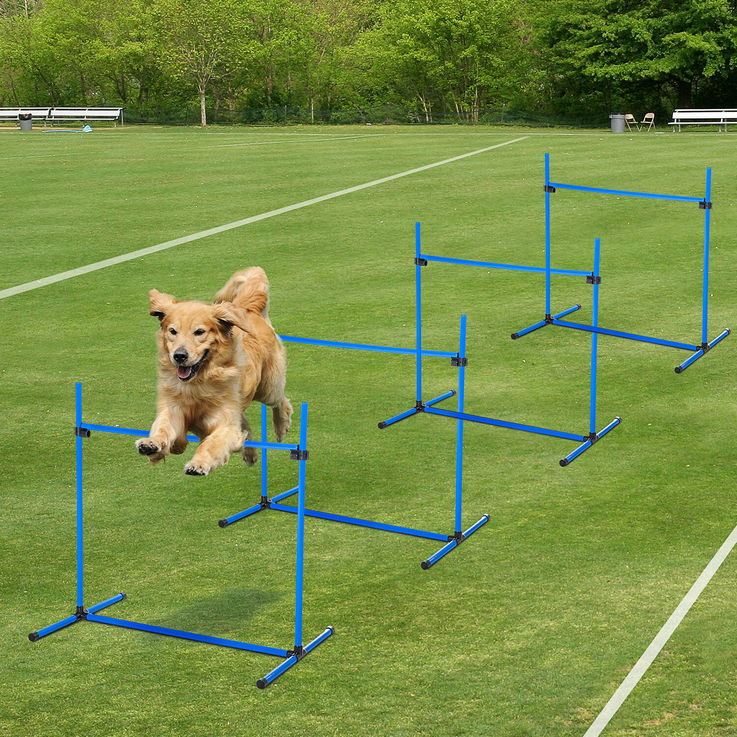 PawHut Set di 4 Ostacoli Regolabili Agility Dog con Borsa, 99x71x95cm 2/5