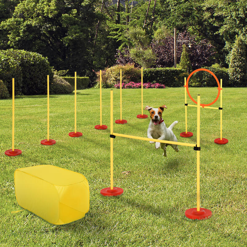 PawHut Set Agility Dog con Ostacoli Regolabili, Slalom e Tunnel