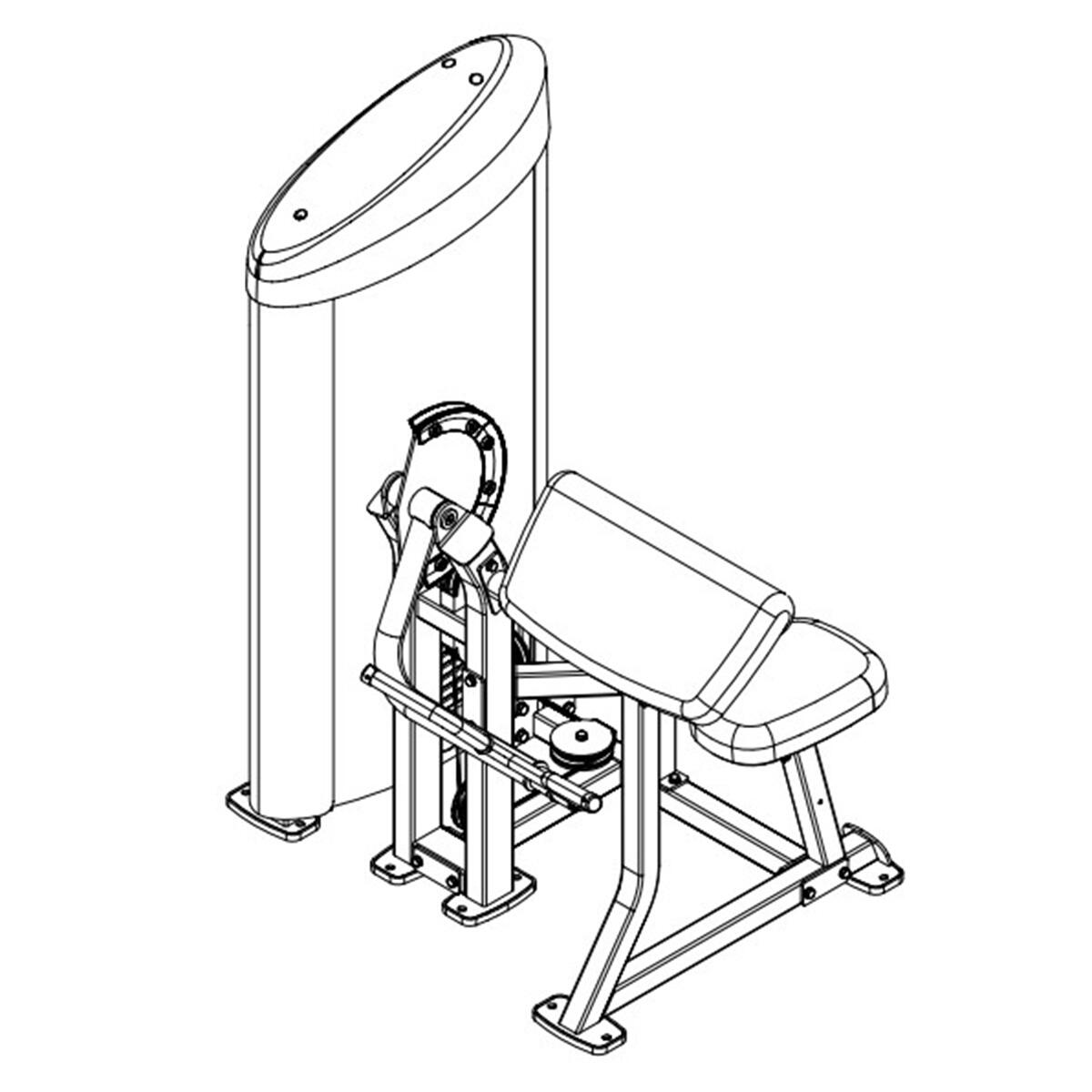 Curl biceps Pro Club Line Series II - 75kg 4/4