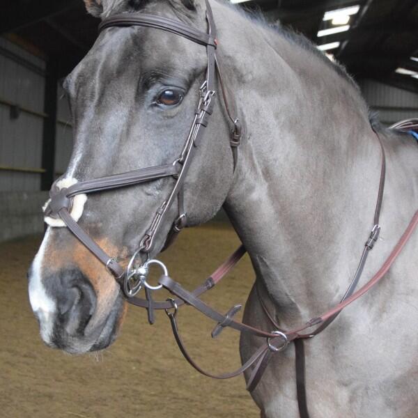 Ready to Ride Martingale 1/2