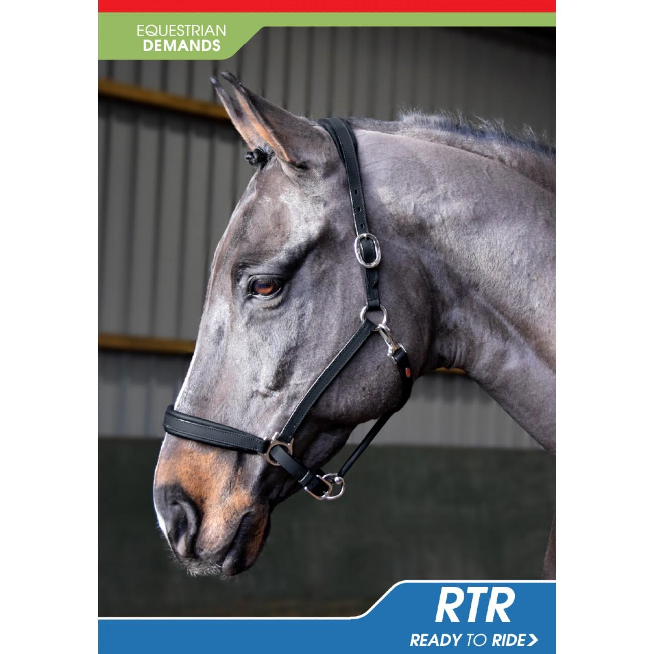 JOHN WHITAKER Ready to Ride Leather Headcollar