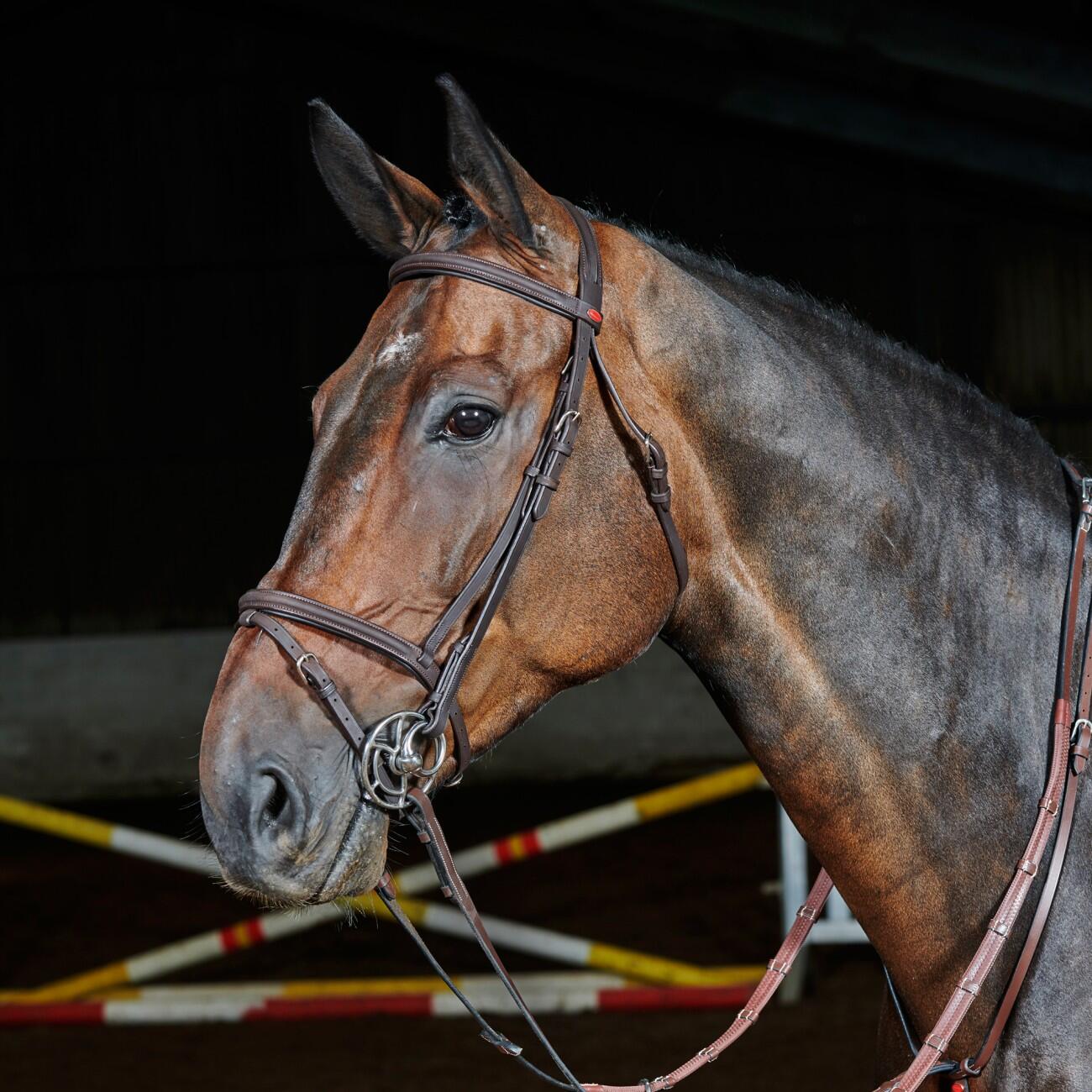 Ready to Ride Flash Bridle 4/5