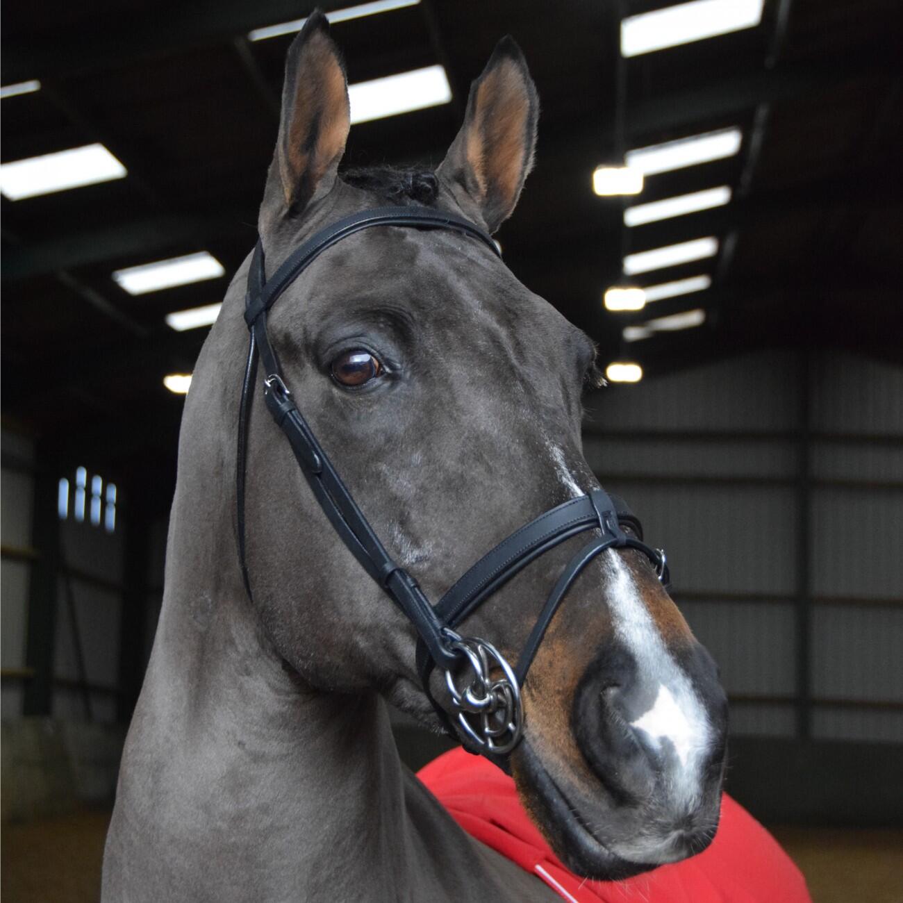 READY TO RIDE SNAFFLE BRIDLE 2/2