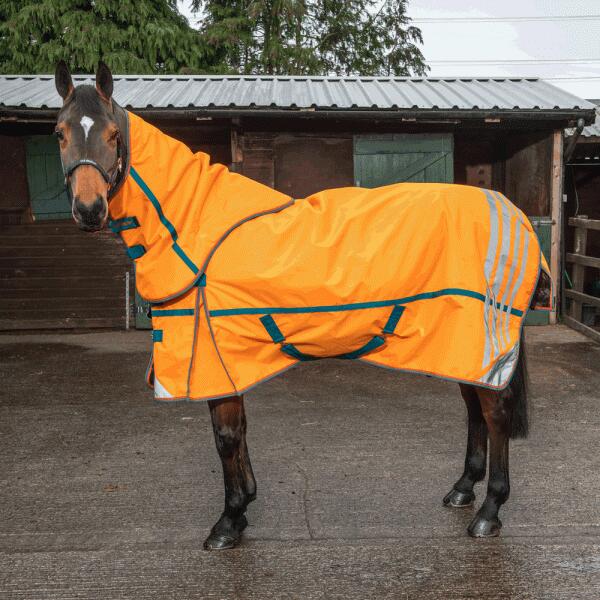 Seacroft High Visibility 200g Combo Turnout Rug 1/4