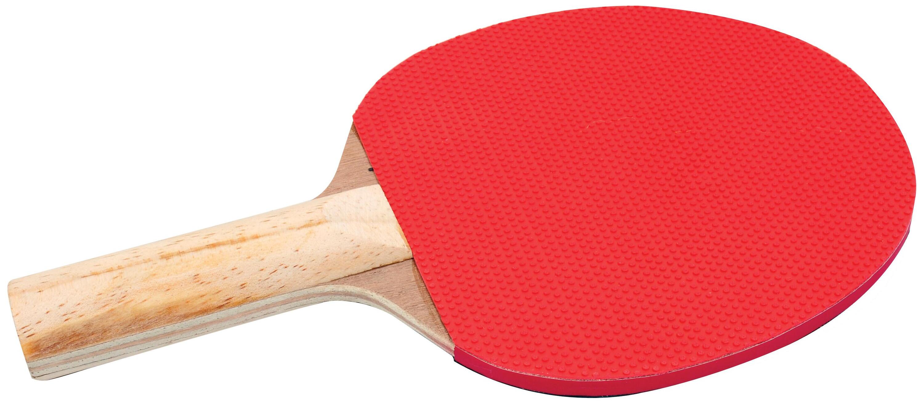 Sure Shot Table Tennis Class Pack (Pimpled out) 2/2