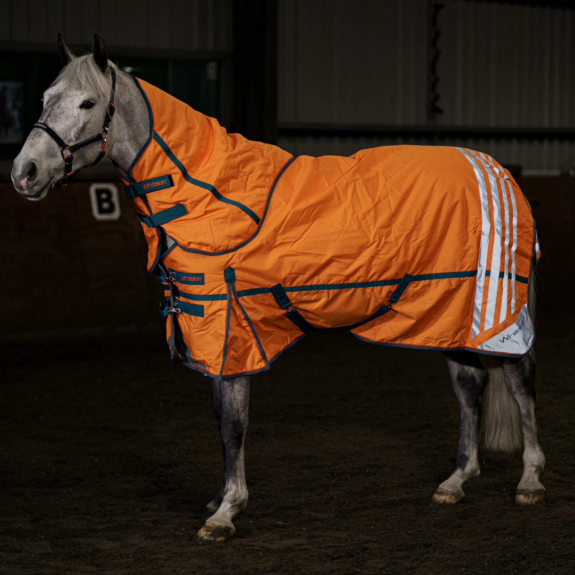 Seacroft High Visibility 200g Combo Turnout Rug 2/4