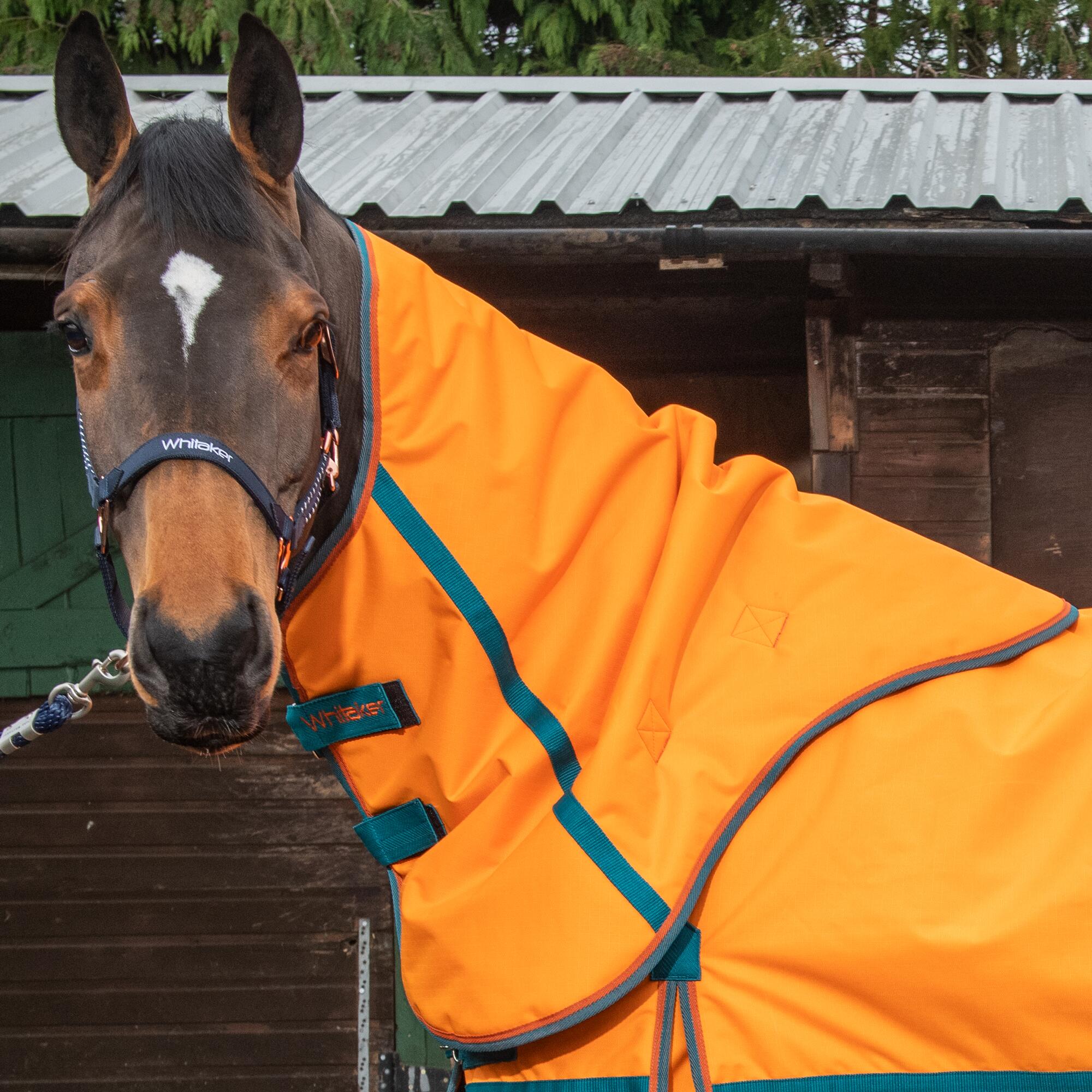 Seacroft High Visibility 200g Combo Turnout Rug 3/4