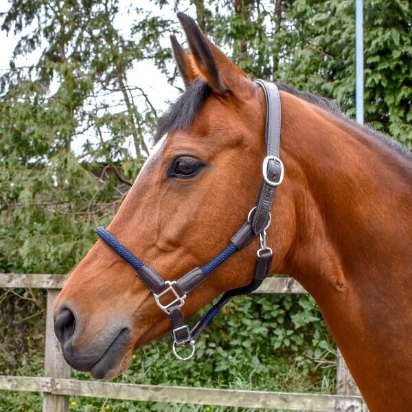 JOHN WHITAKER Raywell Leather and Rope Headcollar