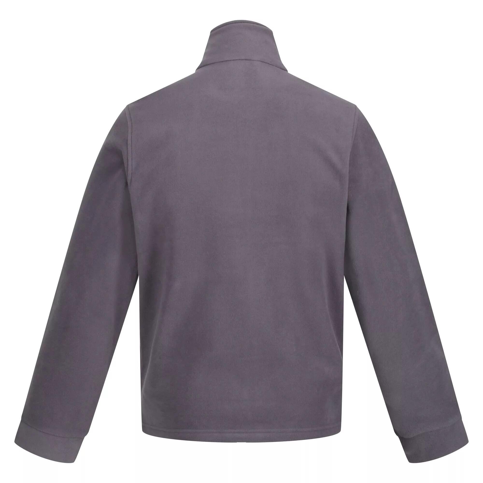 250 Veste Polaire Classique Homme (Gris) 2/5