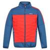 Veste isolée CLUMBER Homme (Bleu / Rouge vif)