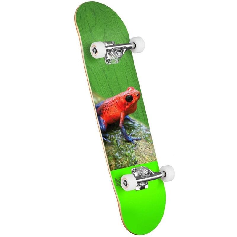 Mini Logo Poison Tree Frog Complete 7.75_x0081__x008d_ 1/3