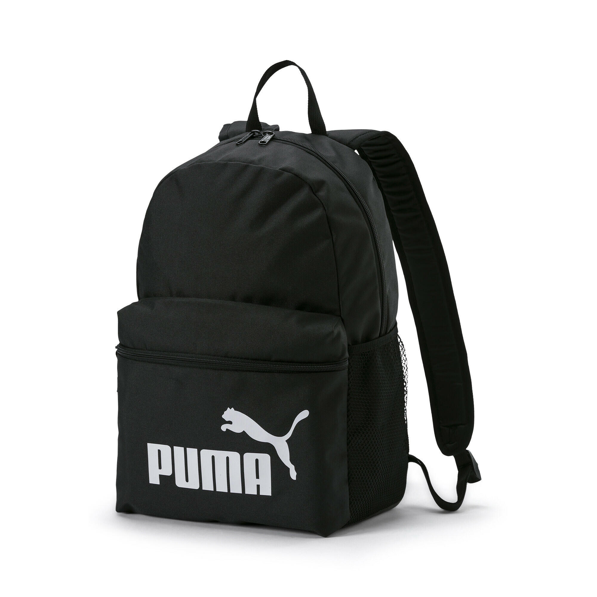 PUMA picture