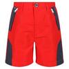 Sorcer II Bergshorts voor kinderen/Kinderen (Vurig Rood/India Grijs)