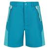 Sorcer II Bergshorts voor kinderen/Kinderen (Email/Turkoois)