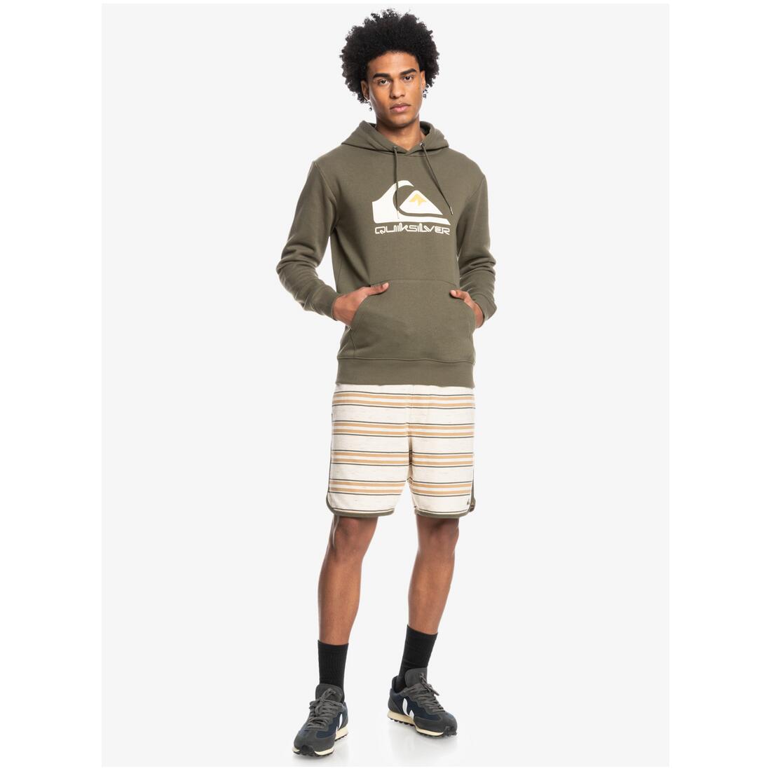 QUIKSILVER Quiksilver Herren Sweater Big Logo olive 5/7