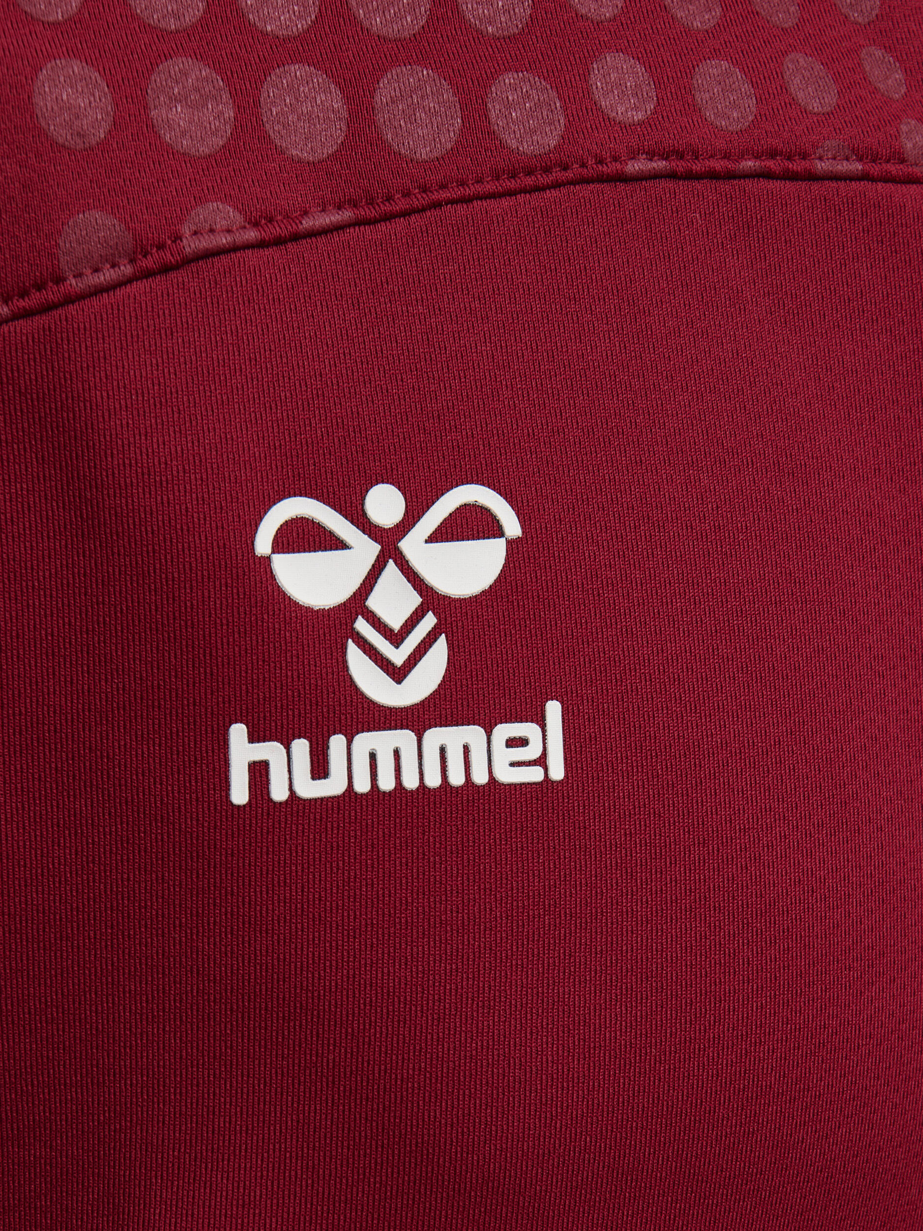 Felpa con cappuccio Hummel hmlLEAD 8/8
