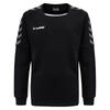 Hummel Sweatshirt Hmlauthentic Kids Training Sweat