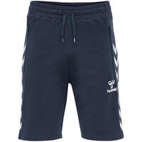 Hmlray 2.0 Shorts Shorts Homme