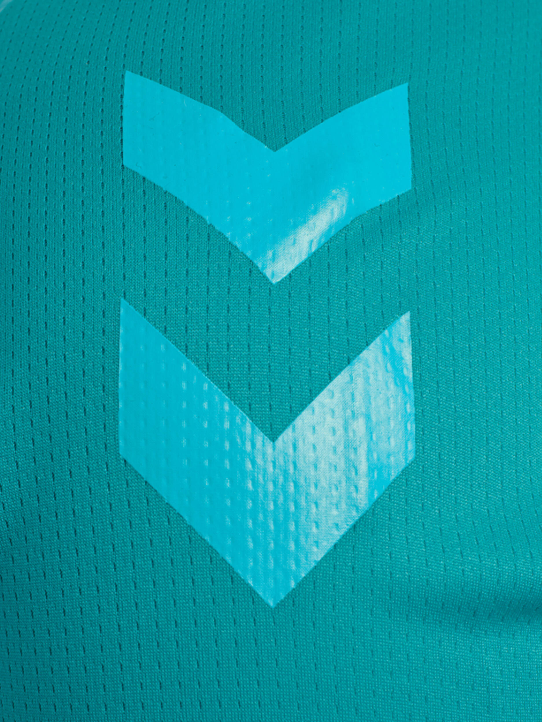 Jersey Hummel hmlAUTHENTIC Pro HML 6/7