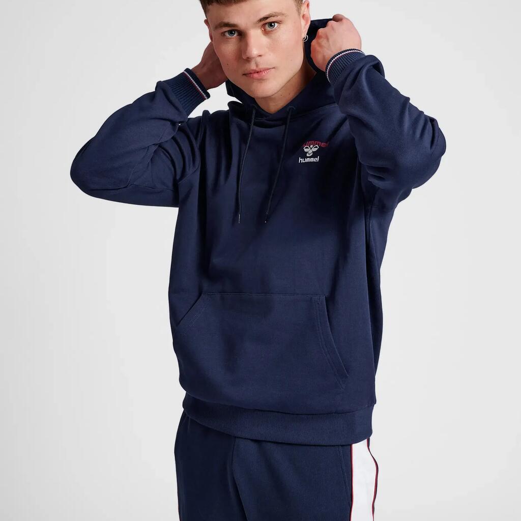 Hooded sweatshirt Hummel IC Dayton