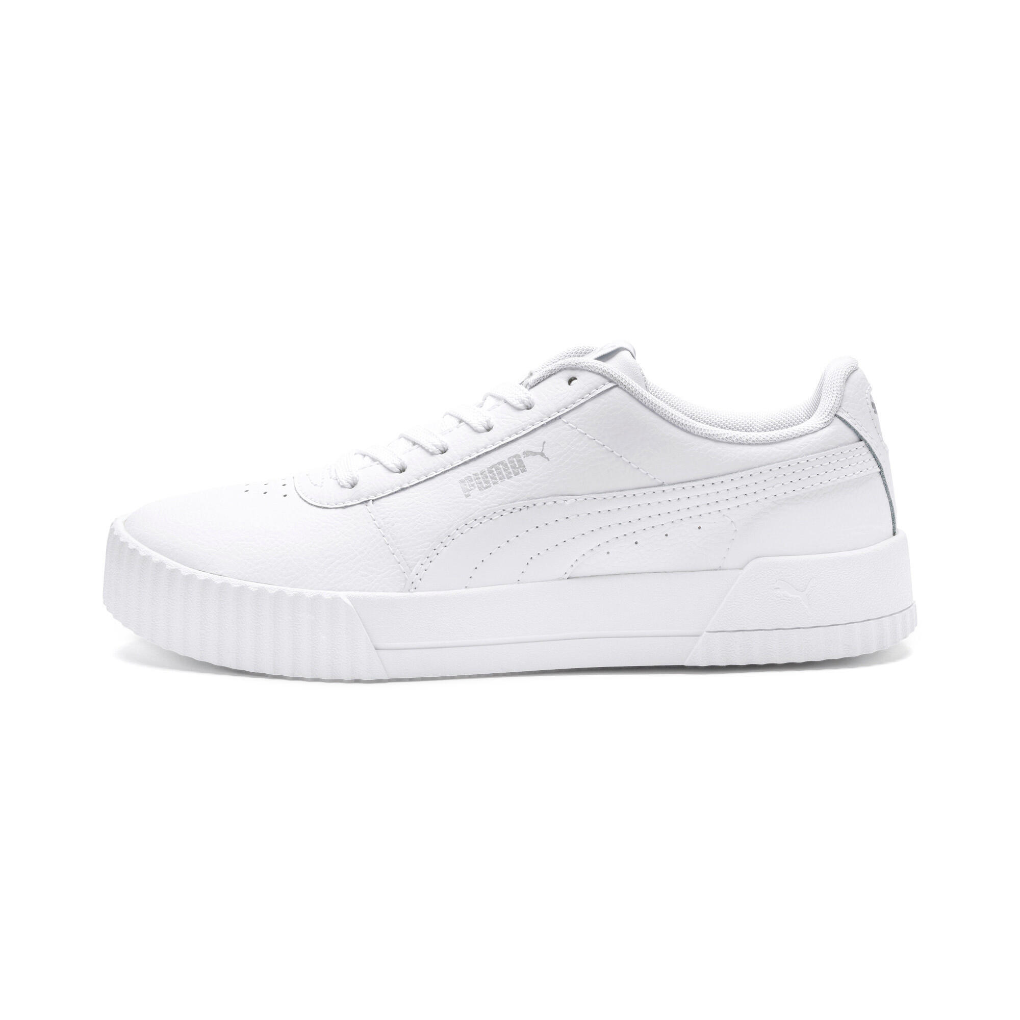 PUMA picture