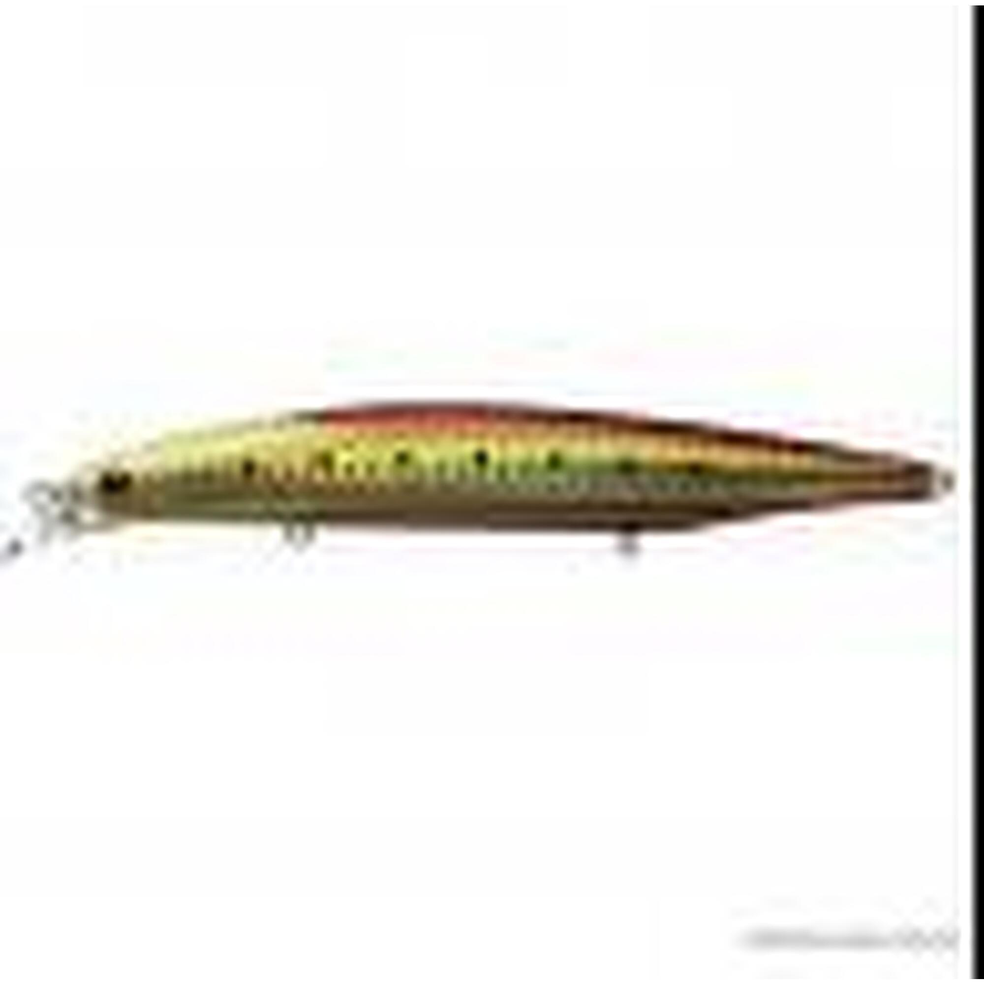 Poisson Nageur Daiwa Shoreline Shiner Z Vertice 140