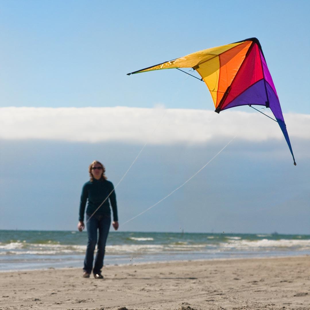 Calypso II Radical - Lenkdrachen, ab 8 Jahren, 59x110cm, flugfertig 5/6