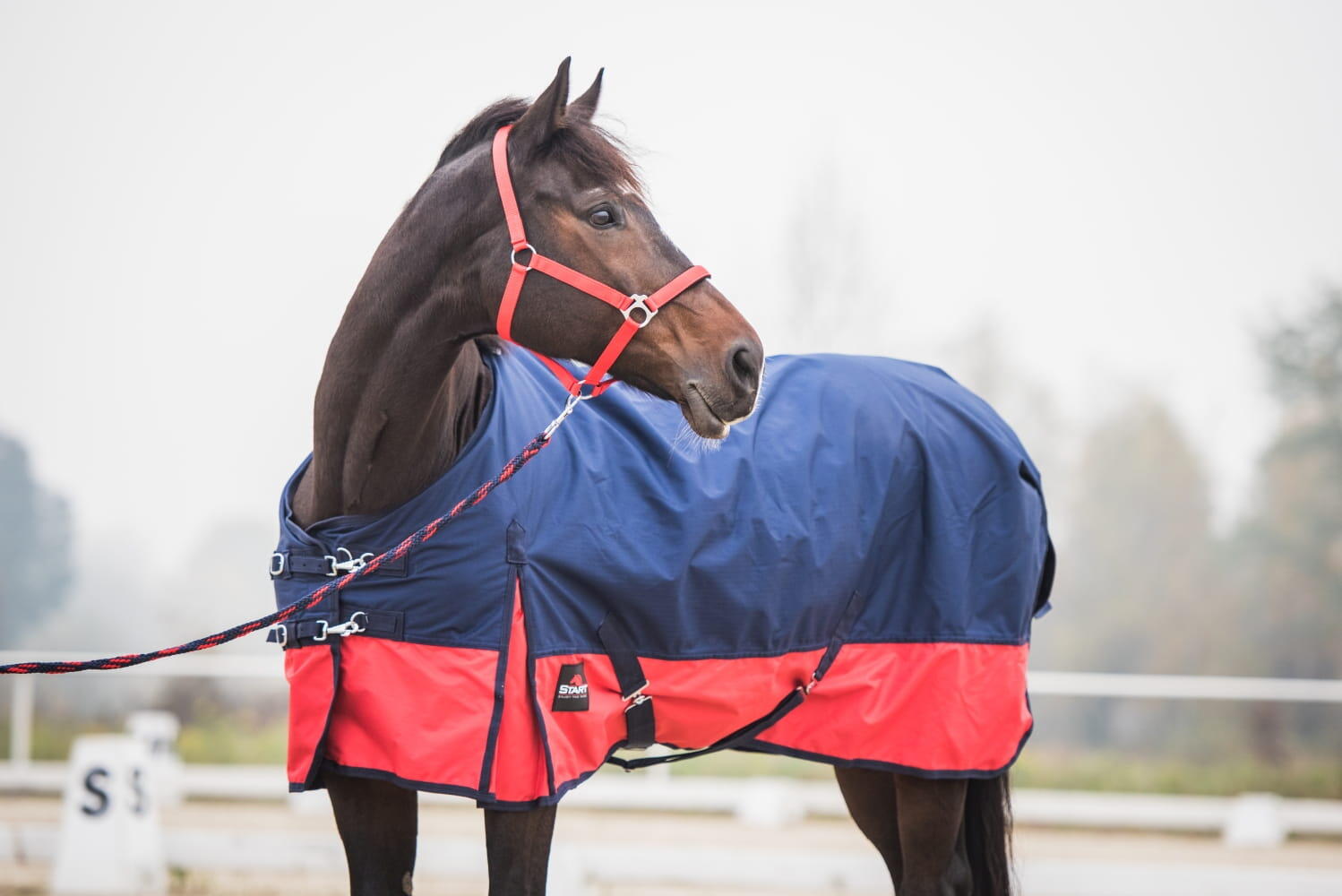 Couverture d'extérieur pour cheval de paddock 2-tone 0g 600d 2/6