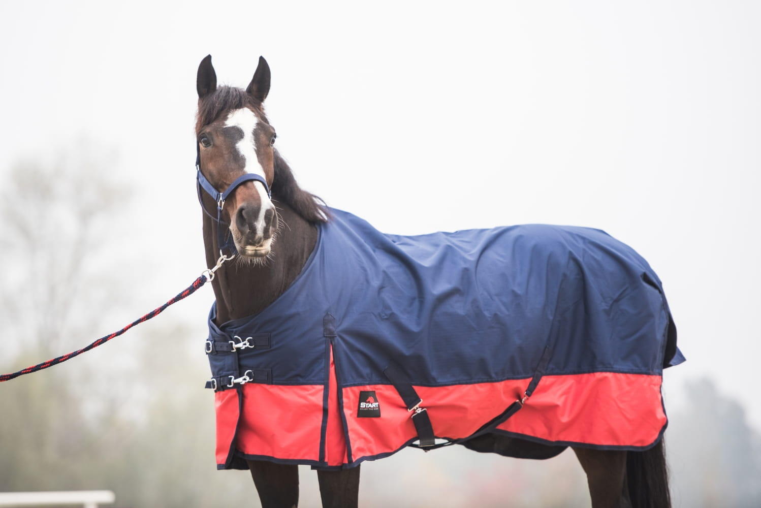 Couverture d'extérieur pour cheval de paddock 2-tone 0g 600d 3/6