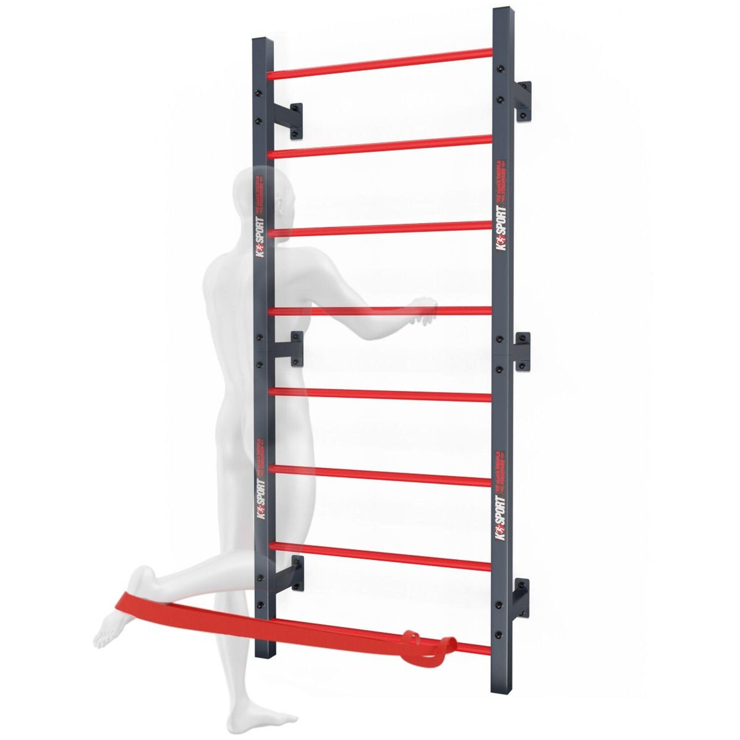 Heavy Duty Steel Wall Bars Swedish Ladder Indoor or Outdoor 2/5