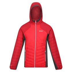 Heren Trutton Hooded Soft Shell Jacket (Chinees Rood/Donkerrood)