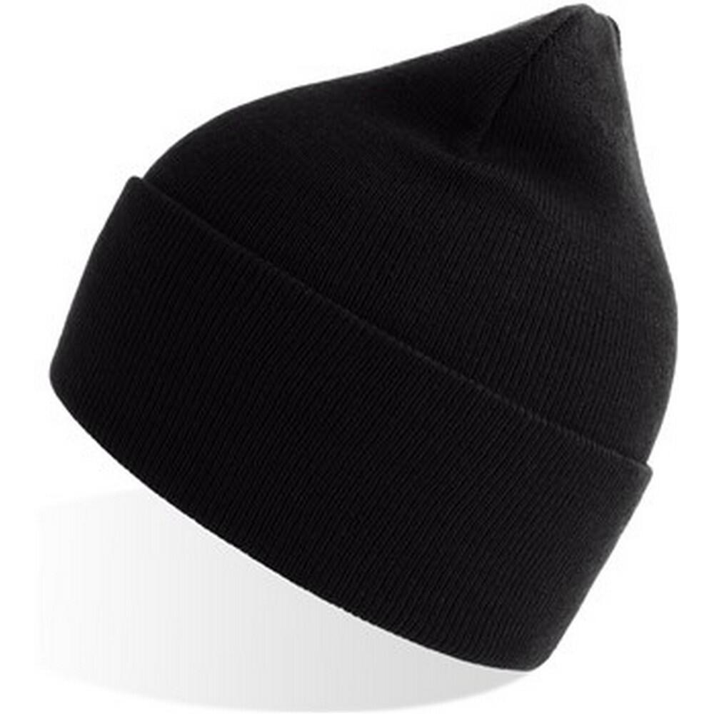 Unisex Adult Pure Recycled Beanie (Black) 3/3