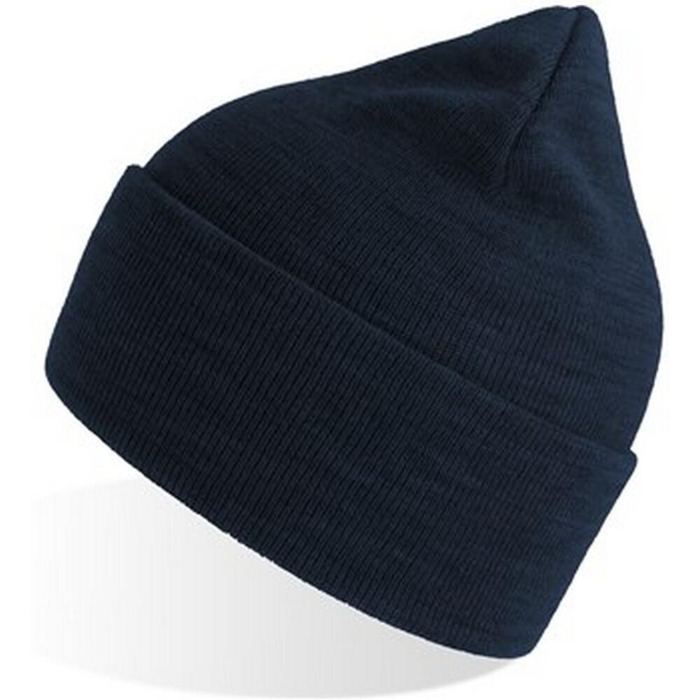 Unisex Adult Pure Recycled Beanie (Navy) 3/3