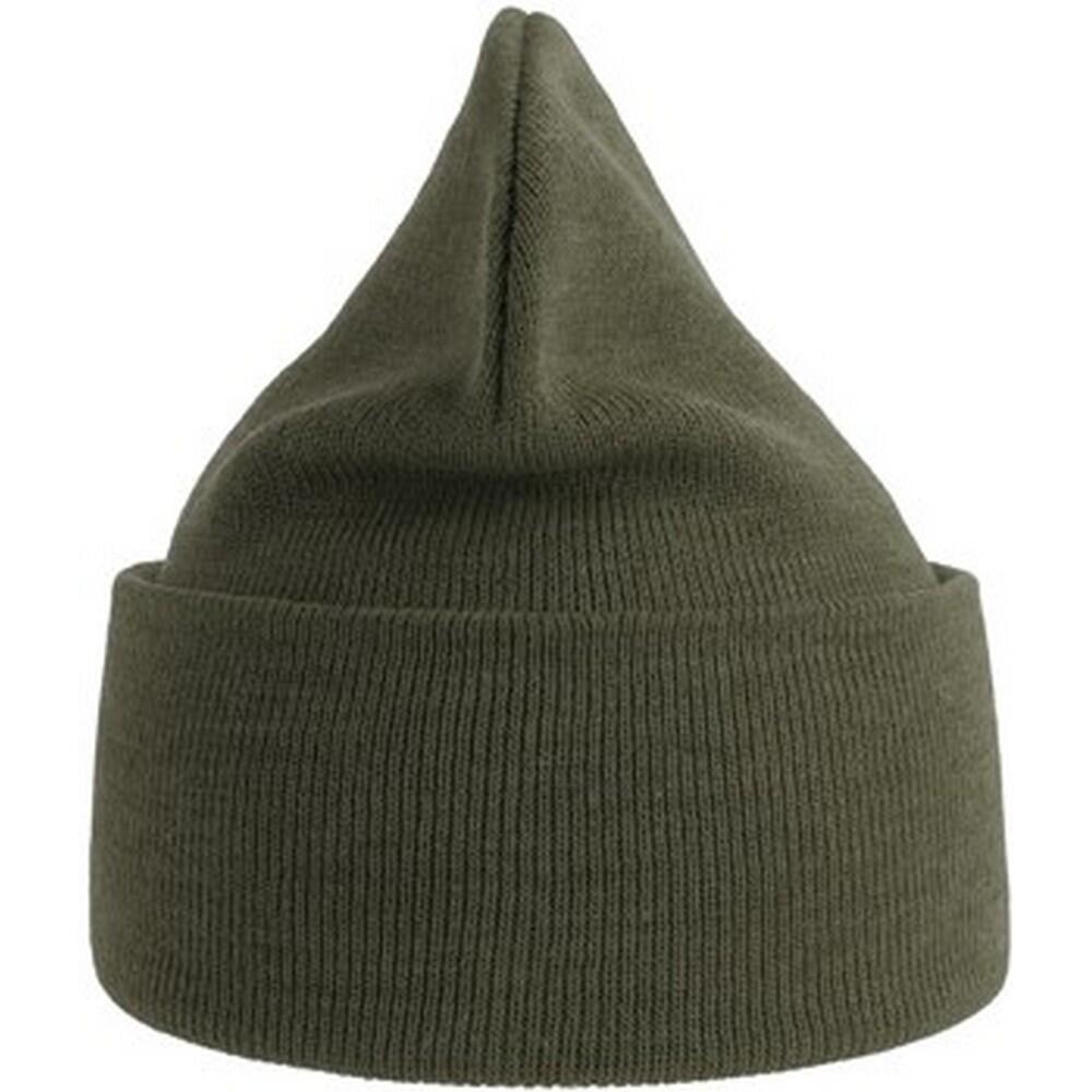 Unisex Adult Pure Recycled Beanie (Olive) 2/3