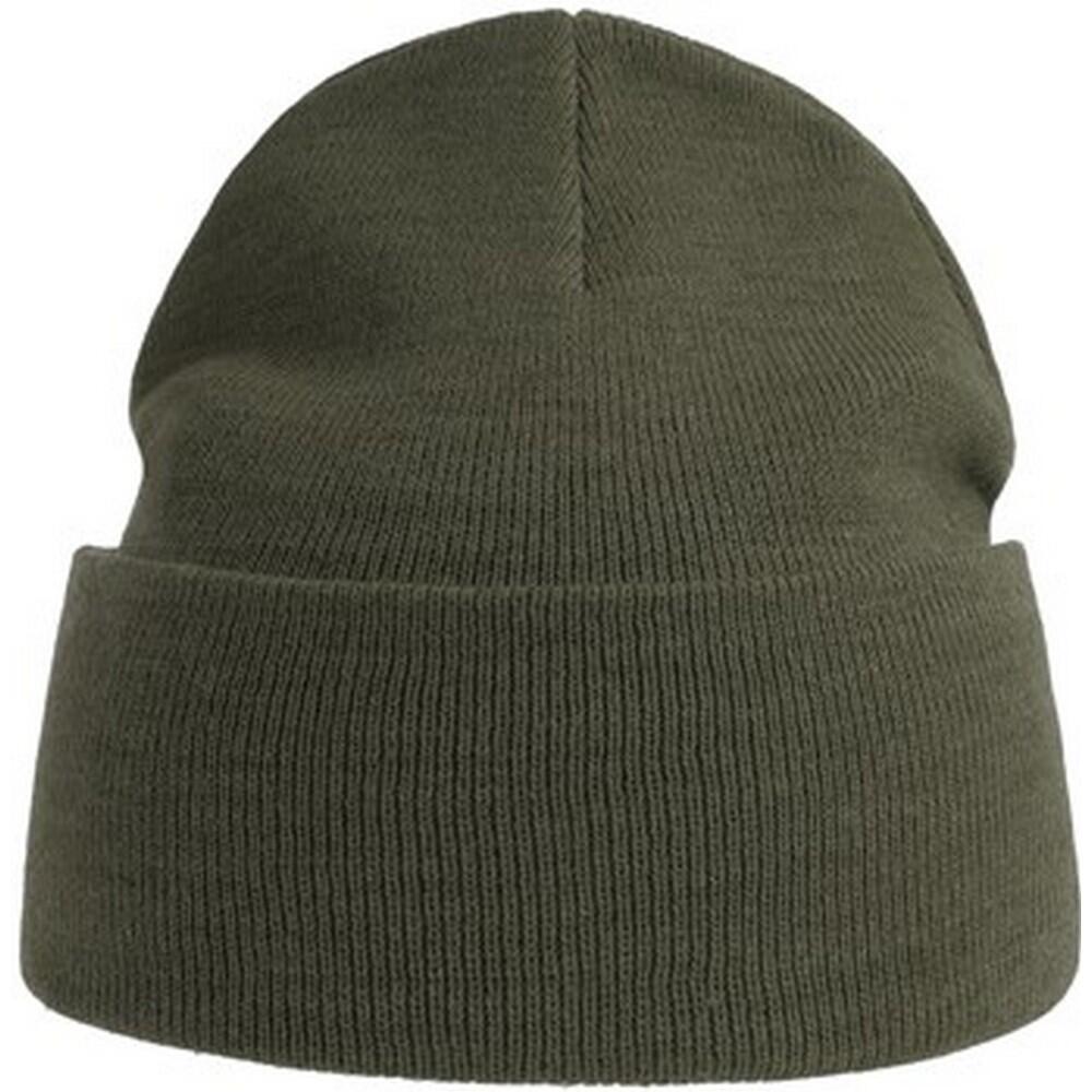 Unisex Adult Pure Recycled Beanie (Olive) 1/3