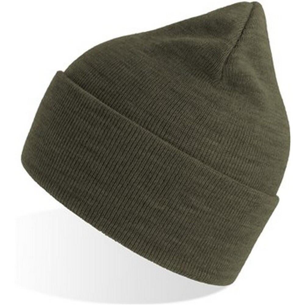 Unisex Adult Pure Recycled Beanie (Olive) 3/3