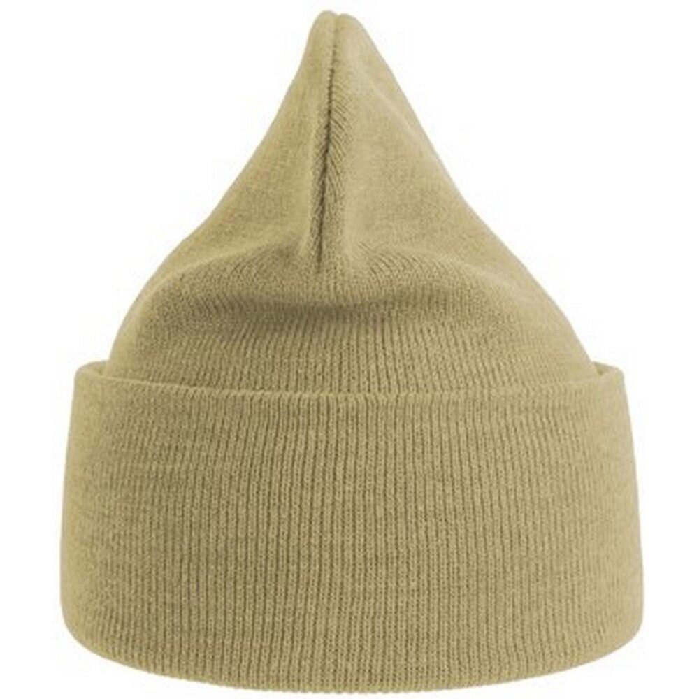 Unisex Adult Pure Recycled Beanie (Beige) 2/3