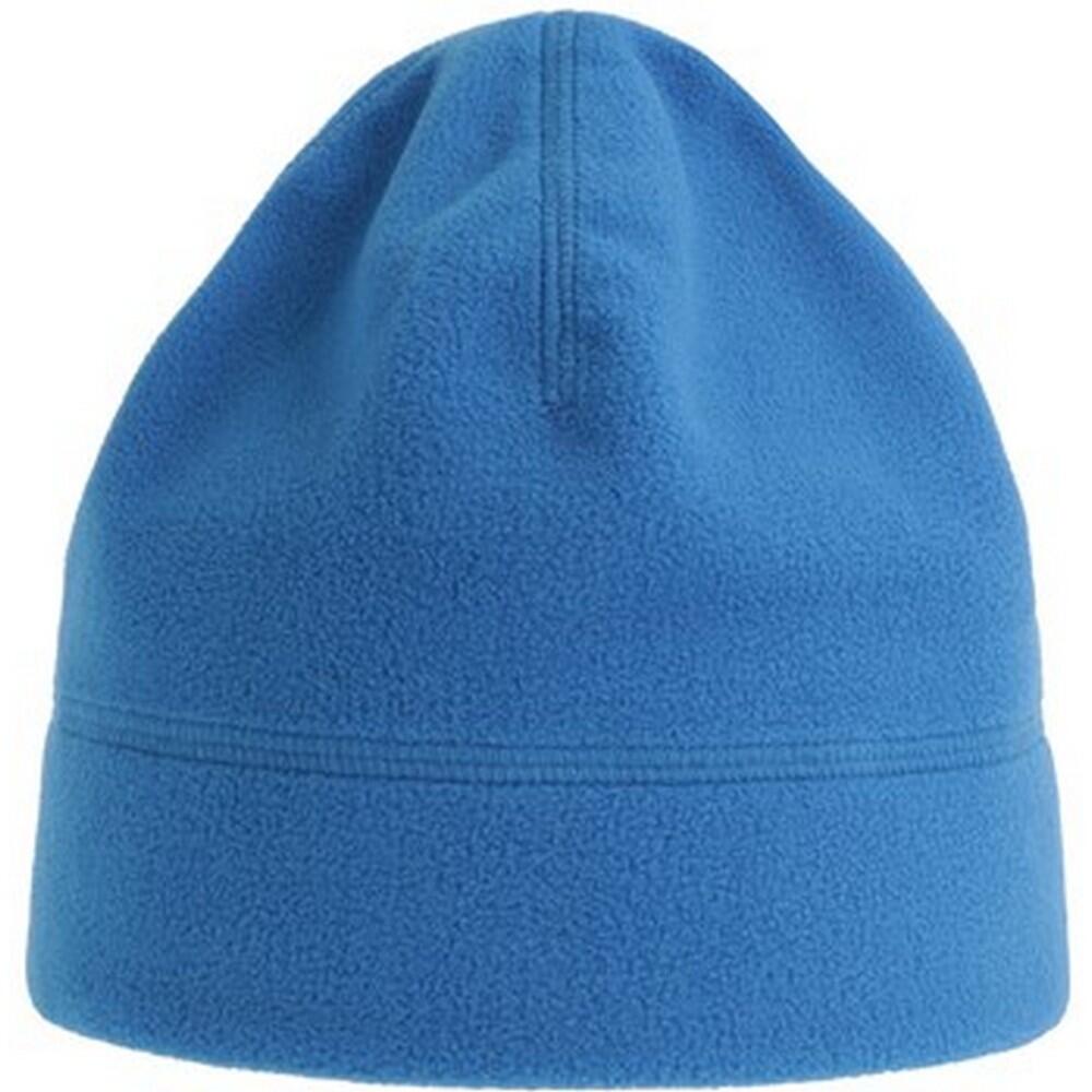 Unisex Adult Birk Recycled Polyester Beanie (Royal Blue) 1/3