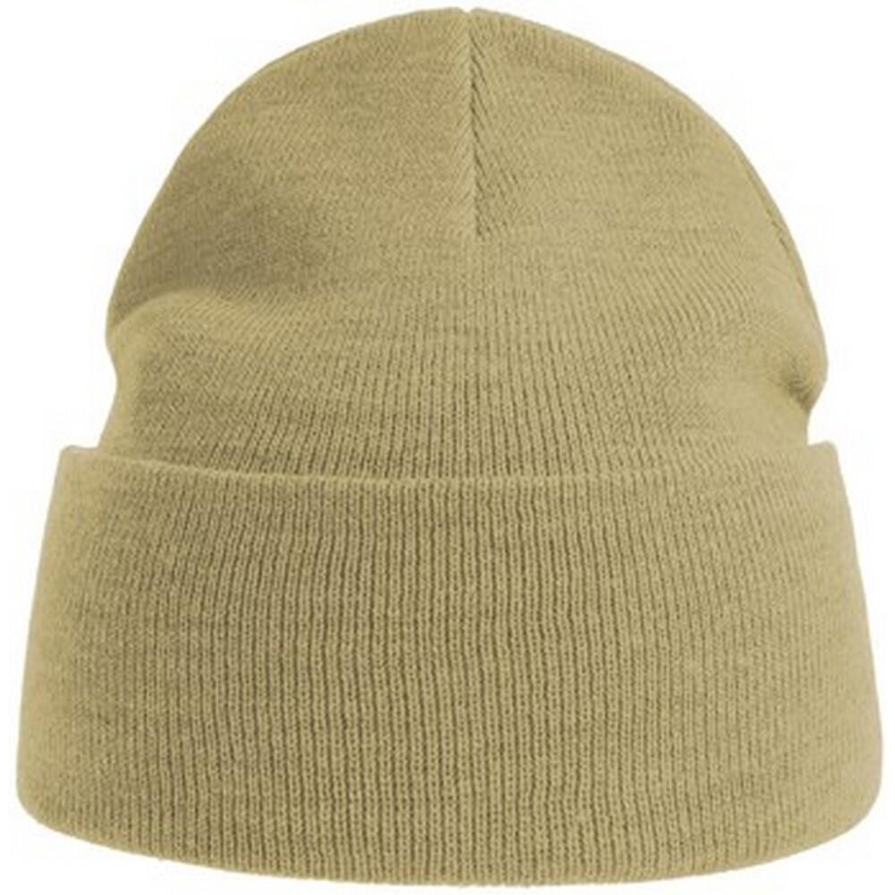 Unisex Adult Pure Recycled Beanie (Beige) 1/3