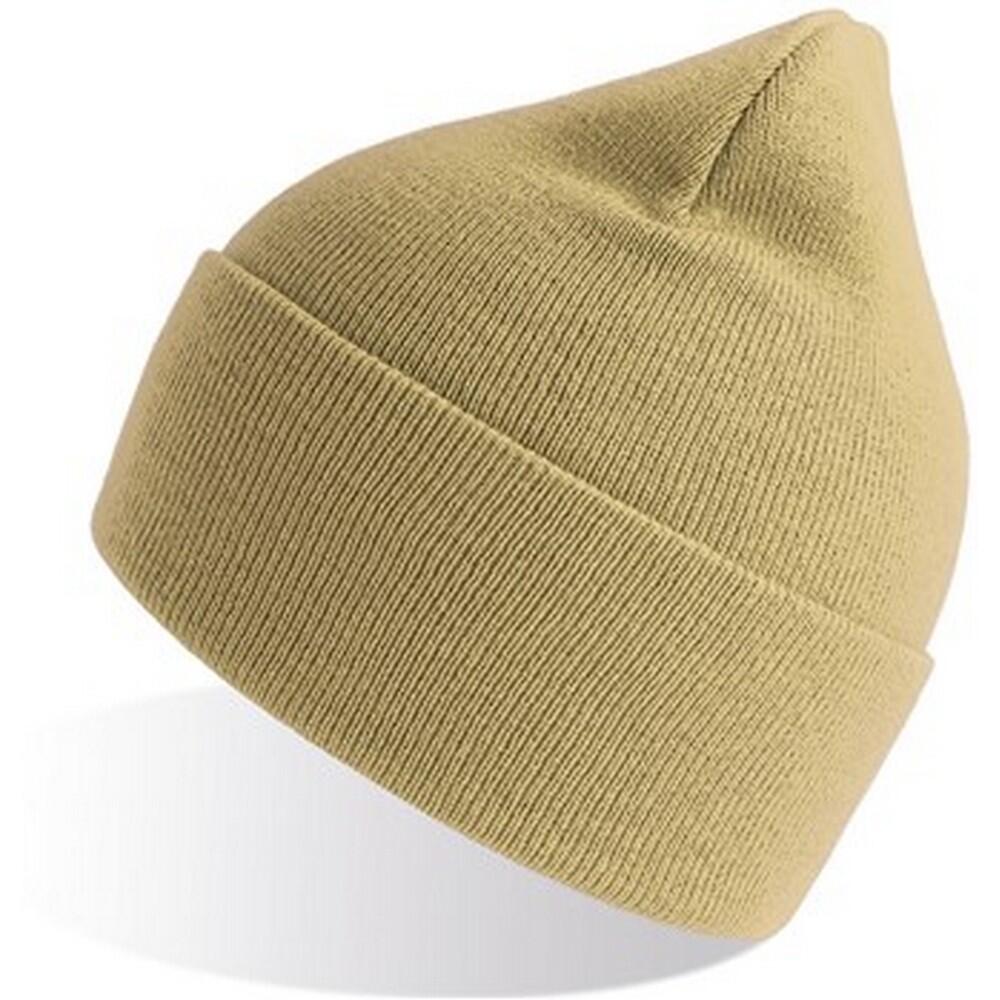 Unisex Adult Pure Recycled Beanie (Beige) 3/3