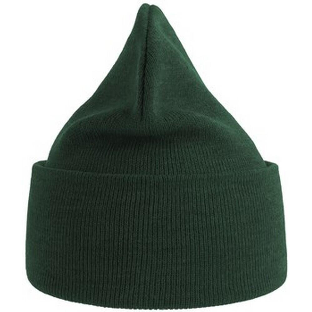 Unisex Adult Pure Recycled Beanie (Bottle Green) 2/3