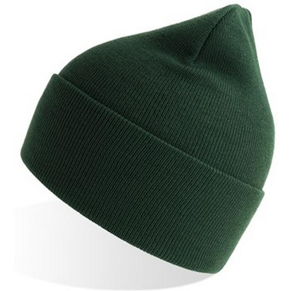 Unisex Adult Pure Recycled Beanie (Bottle Green) 3/3