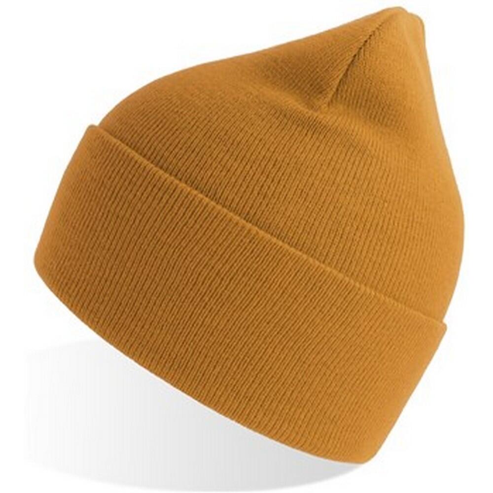 Unisex Adult Pure Recycled Beanie (Mustard Yellow) 3/3